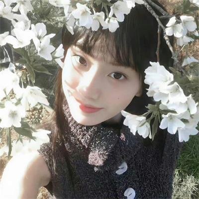 安多第二季